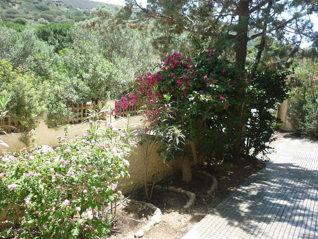 Villa Bonu Torre delle Stelle Exteriör bild